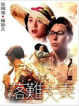 国产20页