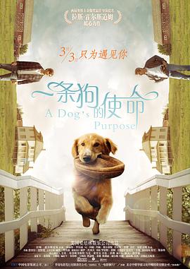 yellow视频免费在线观看