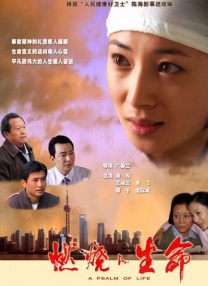 中文精品视频一区二区在线观看