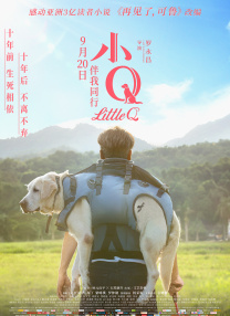 五月天婷婷网址